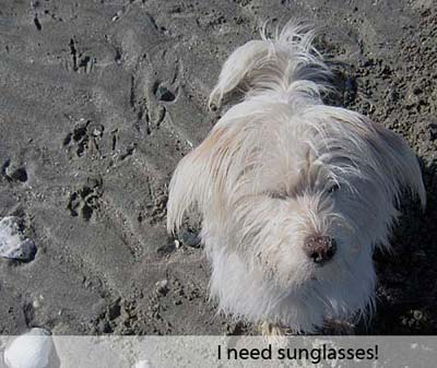I need sunglasses!