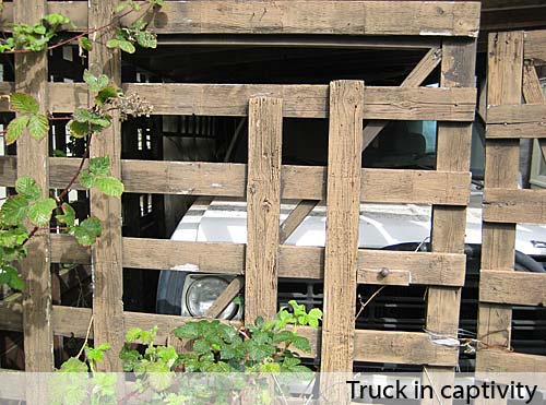 Truck in captivity