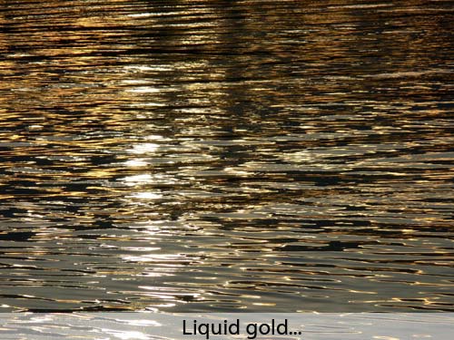 Liquid gold!